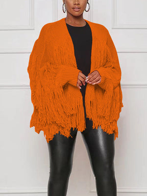 Fringe Knit Sweater Cardigan