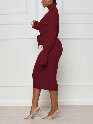 Turtleneck Knit Tie Waist Dress