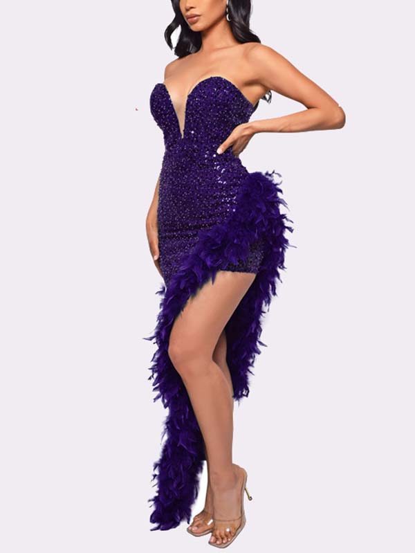 Sequin Feather Trimmed Dress