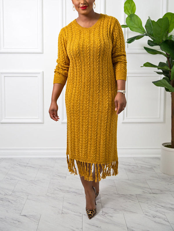 Fringe Knit Sweater Dress