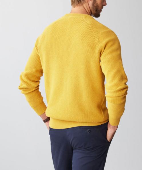 Men's Cotton Pullover Knit Sweater