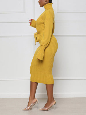 Turtleneck Knit Tie Waist Dress