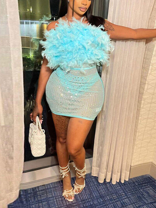 Rhinestone Feather Mesh Dress