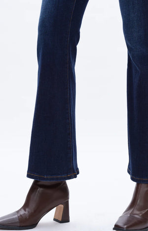 High Rise  Stretch Flare Plus Size Jeans