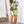 Tropical Paradise Print Set