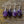 Natural Stone Amethyst Earrings